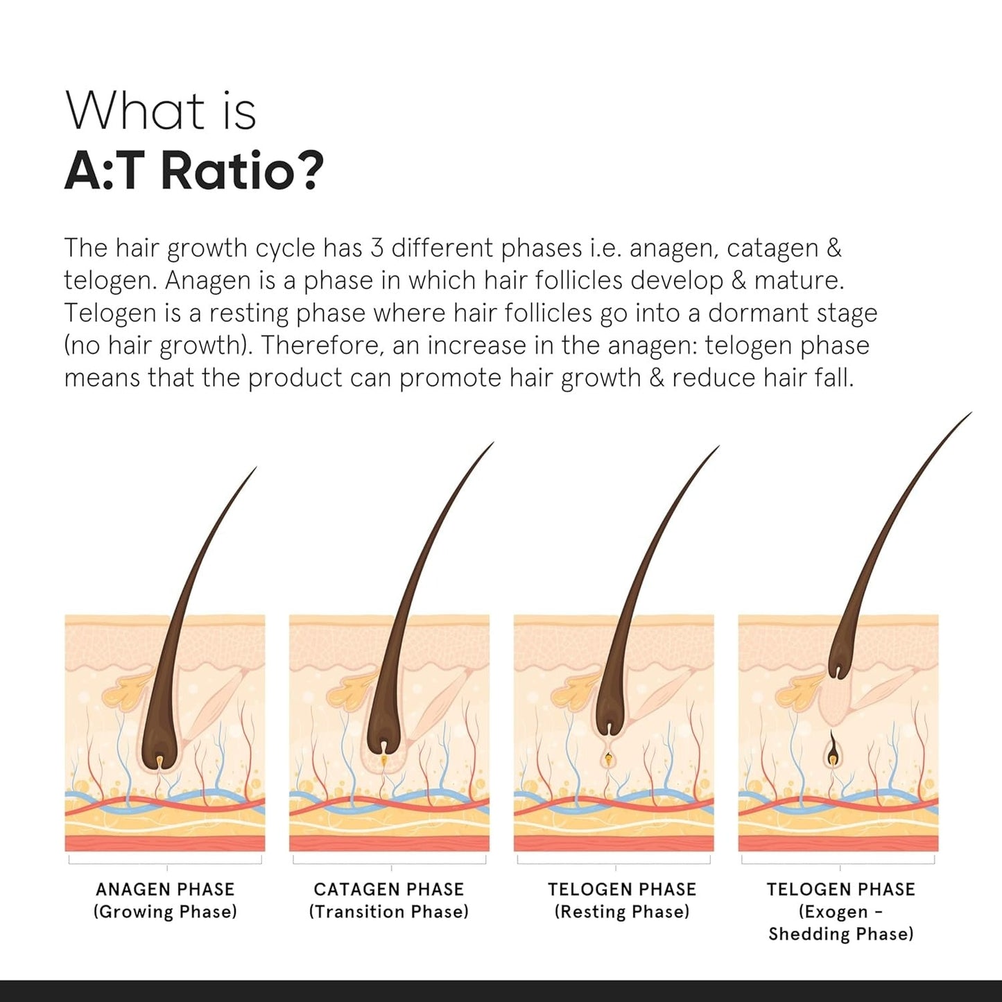 Minimalist Hair Growth Actives 18% Hair Serum